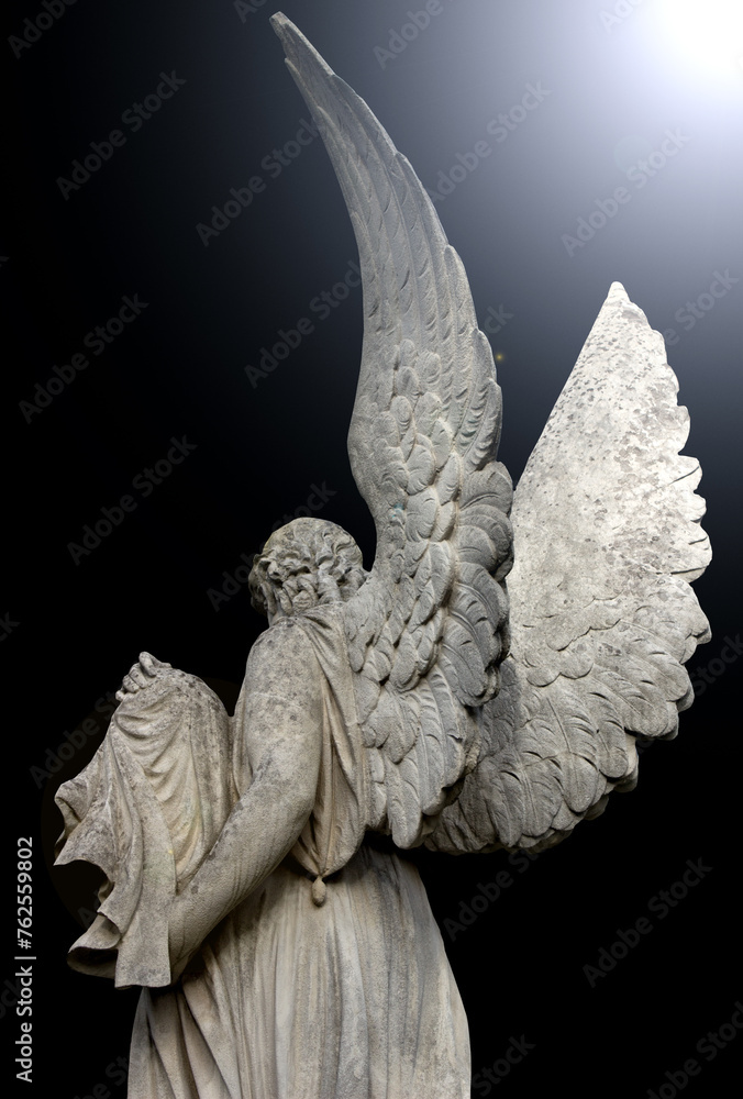 Wall mural angel of the lord with large wings close-up in the moonlight