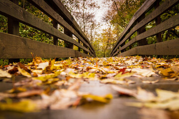 autumn in the park, colorful leaves on a wooden bridge