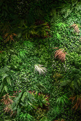 Varios green leaves decoration for natural background. Seamless pattern