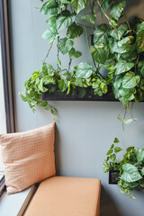Close up detail of cozy soft chair and the green plants around the space. Selective focus.