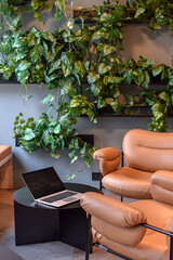 Space for meetings with the laptop on the coffee table, cozy soft chairs and the green plants around the space. Selective focus.