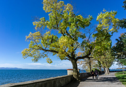Lindau am Bodensee: Uferweg der Insel, Promenade im Herbst mit schönem leuchtenden Baum, Päarchen beim Spaziergang am See