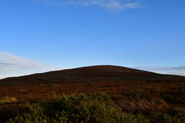 Brandon Hill, Co. Kilkenny, Ireland