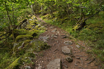Hiking trail from Glomnes to Segestad, Norway, Europe
