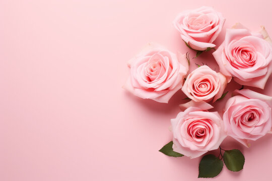 Pink roses arranged in circle on pink background. Roses are main focus of image, and pink background adds sense of warmth and romance to scene