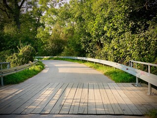 Bridge among the trees 