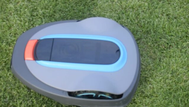 The lawnmower robot mows the grass in the garden.