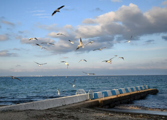 Seascape with a breakwater and seagulls in the sky