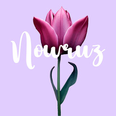 Navruz holiday, Beautiful inscription Navruz, Tulip flowers, calligraphic text, March, holiday card, background, gradient, soft colors