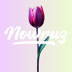 Navruz holiday, Beautiful inscription Navruz, Tulip flowers, calligraphic text, March, holiday card, background, gradient, soft colors