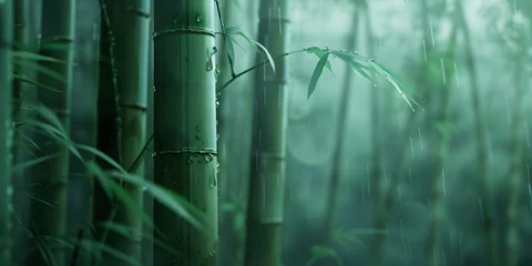 Gordijnen Green bamboo forest with raindrops on the leaves. Nature background © Andsx