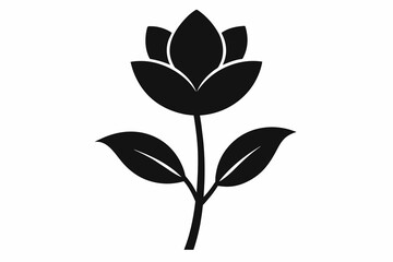 flower silhouette with white background