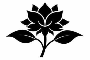 flower silhouette with white background