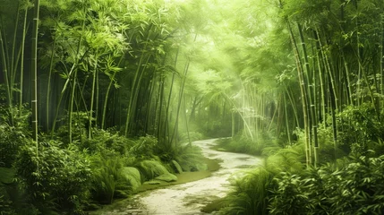Gordijnen A realistic painting depicting a path winding its way through a dense bamboo forest. The vibrant green bamboo stalks tower overhead as the path disappears into the distance. © vadosloginov