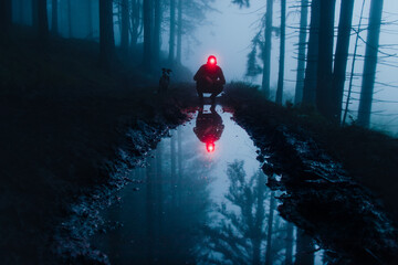 Wieczorny spacer z psem po tajemniczym lesie w Rudawach Janowickich 