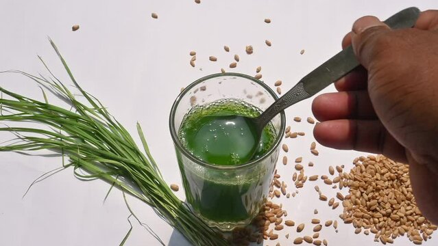 Wheatgrass juice on white background. Healthy organic green detox juice from grass of green germinated wheat grains. Healthy drink. Green leaves of young wheat and wheat grass juice. Slow motion video