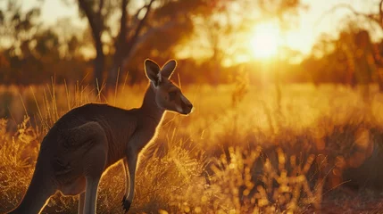  A kangaroo is standing tall in a vast field during the golden hues of sunset, with the landscape bathed in warm light. © vadosloginov