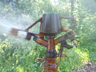 Busch und Beet mit Rasensprenger