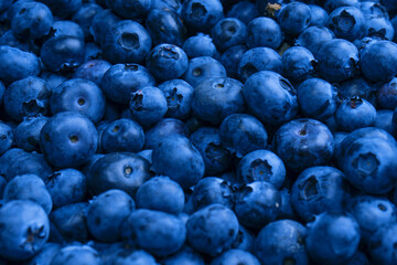 Fresh blueberry background. Texture blueberry berries close up.