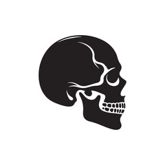 Grim Icons: Vector Skull Silhouettes Conjuring Mystery, Danger, and Intrigue in Minimalist Design, Skull black illustration