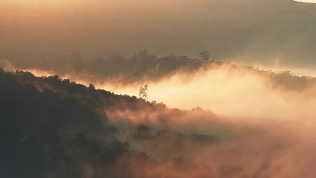 Hilly landscape covered in dense fog in early morning and golden rays light of sun on it.
