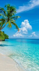 A beach scene featuring tall palm trees against a backdrop of crystal clear blue water. The sandy shore glistens under the bright sun, inviting visitors to relax and enjoy the tropical paradise.