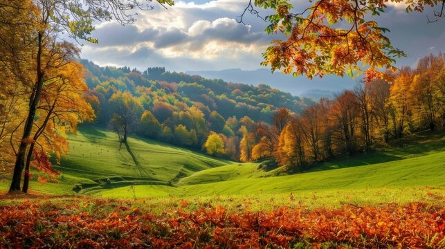 green fields and fall foliage in the background to create a seasonal feel. The vibrant colors of fall foliage against the backdrop of green fields create a striking contrast.
