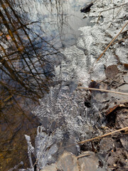 thin transparent ice on a puddle in the park on a spring day, foliage through the ice, dry grass through ice