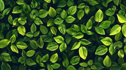 Fotobehang A mesmerizing picture of Climbing Dollar Ficus pumila, ideal for nature-inspired wallpapers, showcasing its lush green leaves gracefully flowing, enhancing any environment with natural grace. © alexpe