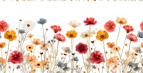 Foto auf Acrylglas wild flower seamless pattern summer meadow flowers on white background poppy flowers © alexpe