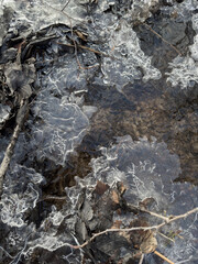 thin transparent ice on a puddle in the park on a spring day, foliage through the ice, dry grass through ice