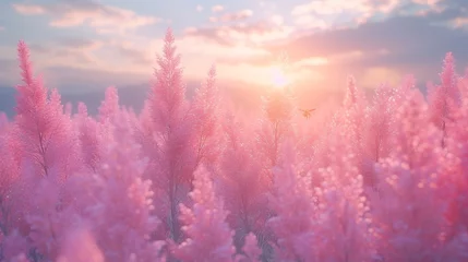 Foto op Canvas  A field of pink flowers, bathed in sunlight, with clouds surrounding the bright sky above © Janis
