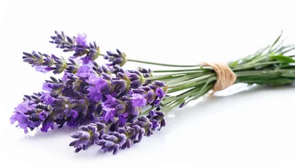 Gartenposter lavender flowers isolated on white background © Faith