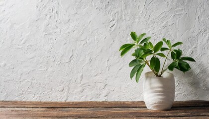 white plastered wall background