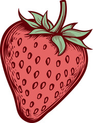 strawberry clipart desing illustration