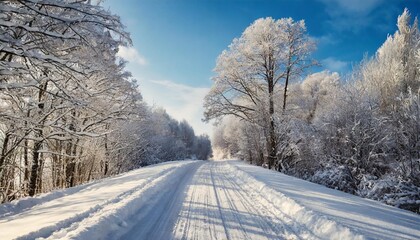 Fototapeta na wymiar winter landscape of snowy road