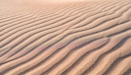 beige pink sand texture natural background close up waves pattern on sand dunes light pastel color minimal nature beautiful beach summer and travel spa and relaxation concept selective focus