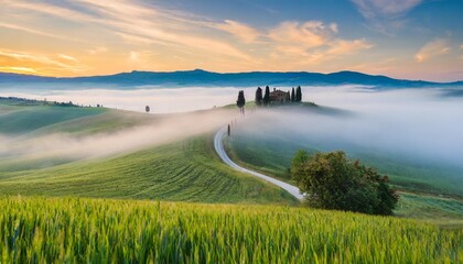 fairytale misty morning in the most picturesque part of tuscany val de orcia valleys - obrazy, fototapety, plakaty