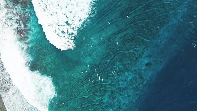 Aerial top down view of the surfing spot in the Maldives with surfers swimming around