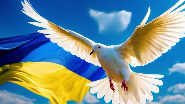 Dove of peace against the background of the flag of Ukraine. selective focus. animal.