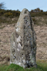 A stone in Colvannick Stone Row Cornwall England