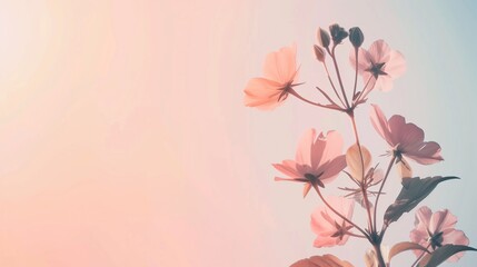 A kaleidoscope of petals dance in the summer breeze, creating a vibrant explosion of color and life against the natural beauty of the outdoor landscape