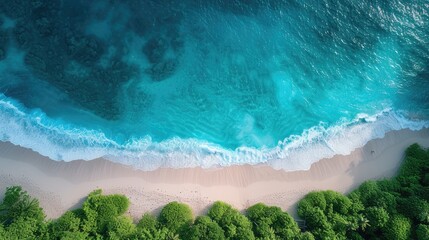 An aerial view captures the stunning beauty of a tropical beach, with crystal-clear turquoise...