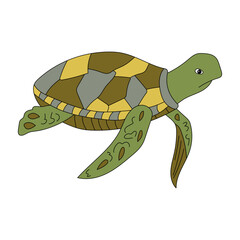 Colorful Sea Turtle Clipart for Lovers of Aquatic Life and Marine Life