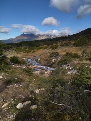 patagonia nature in tierra del fuego