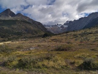patagonia nature in tierra del fuego