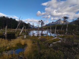 patagonia nature in tierra del fuego