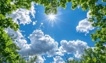 Obraz premium Green leaves background with heart symbol. Ecology concept