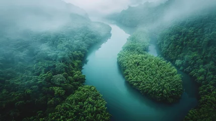 Fotobehang River Flowing Through Lush Green Forest © ArtCookStudio