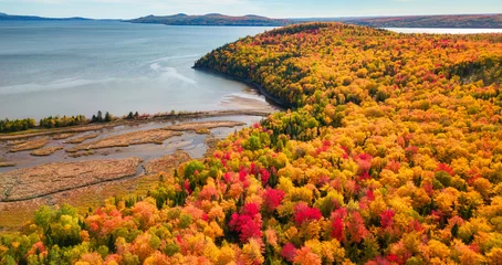 Foto op Aluminium Vibrant trees and landscape on East Coast of Atlantic Ocean. Quebec, Canada © edb3_16
